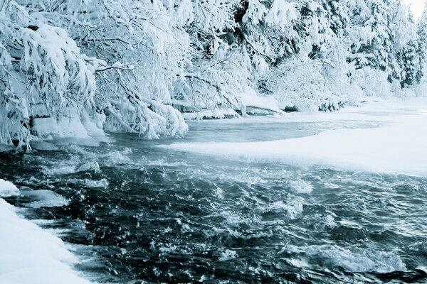 Unter den Ästen von schneebedeckten Tannen brodelt ein Winterstrom