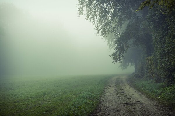 Die Straße geht in ein nebliges Feld