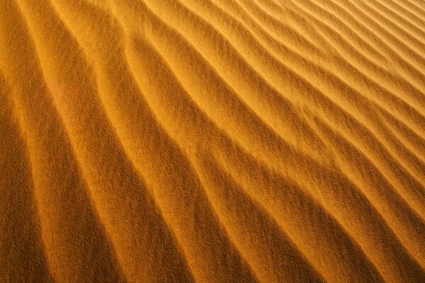 Der Sand in der Wüste ist auf das Telefon gestoßen