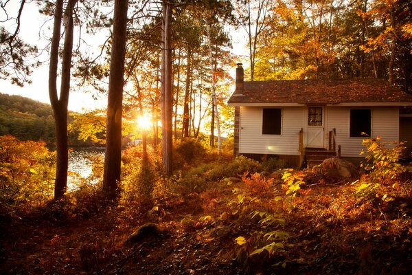 Casa sulla riva del fiume in autunno