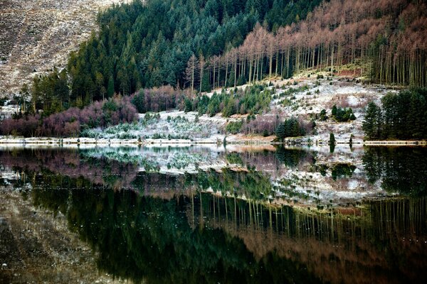 The autumn forest is reflected in the lake