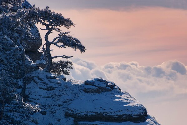 Mountain cliff under snow at the height of clouds