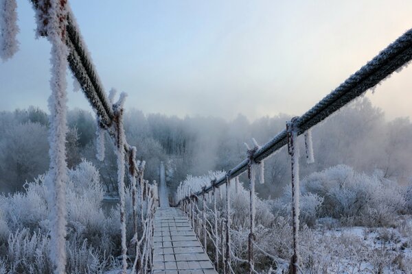 Ponte coperto di brina in inverno