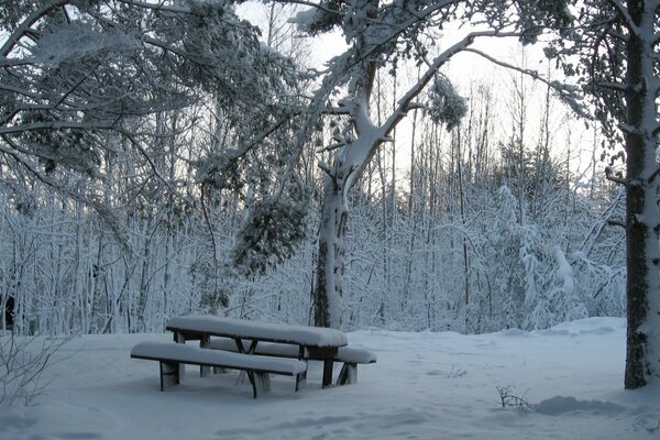 Ein verschneiter Picknickplatz im Wald