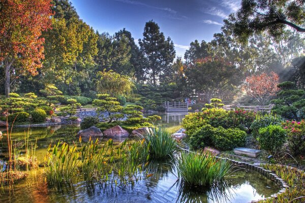 Bellissimo stagno nel giardino giapponese