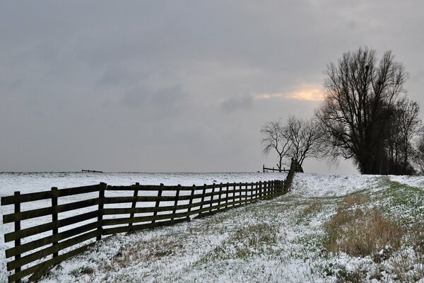 Winter field and fence trees gray sky