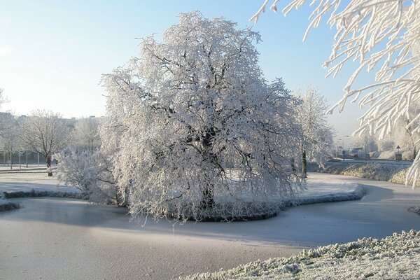 Cuento de invierno en blanco