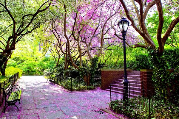 A square with benches in green trees