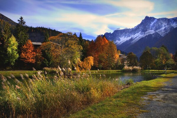 Abito multicolore autunno bellezza natura