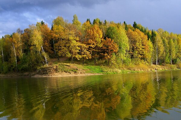 Rivière pleine et forêt d automne