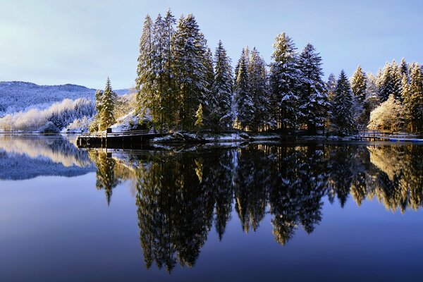 Der Wald spiegelt sich im Wasser des Sees wider