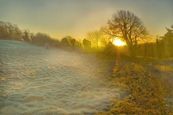 Mornings in England can also be very beautiful