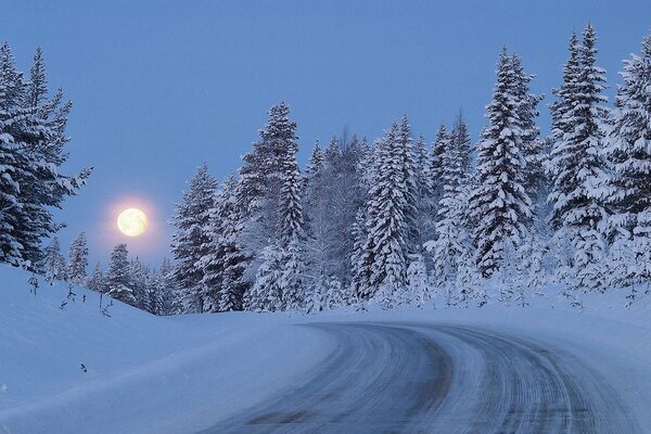 Зимняя дорога в заснеженных елях при полноц луне