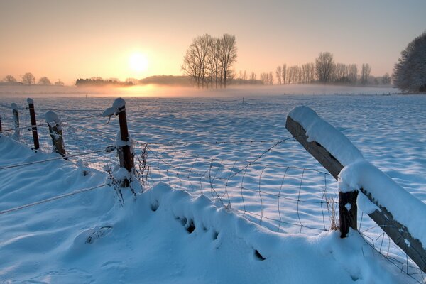 Frost and sun is a wonderful day