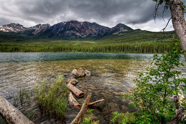 Nature avec montagne, rivière et forêt