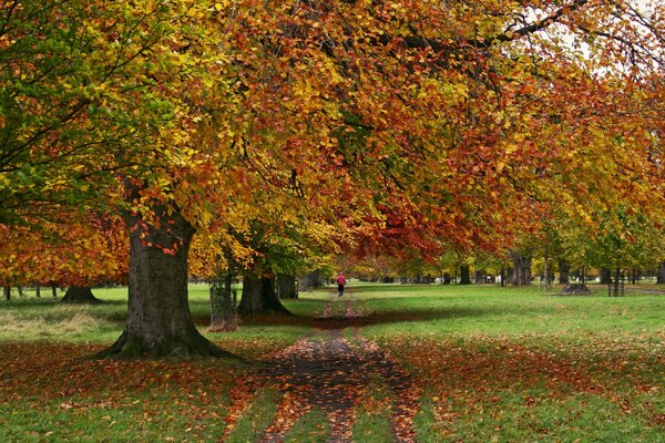 Autumn time in the city park