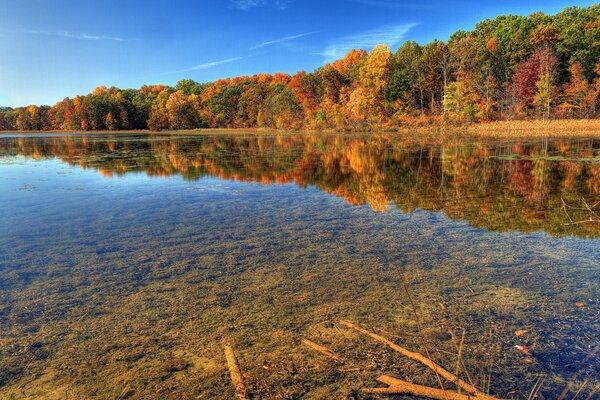 Autumn clear water in the river