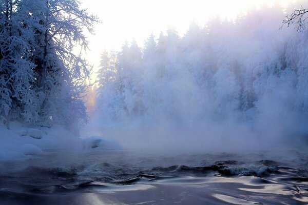 Forêt d hiver. Brouillard sur le lac