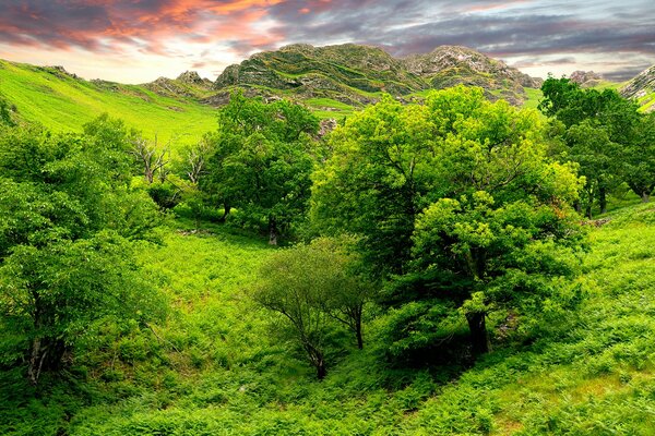 Verdes colinas cerca de las montañas en la India