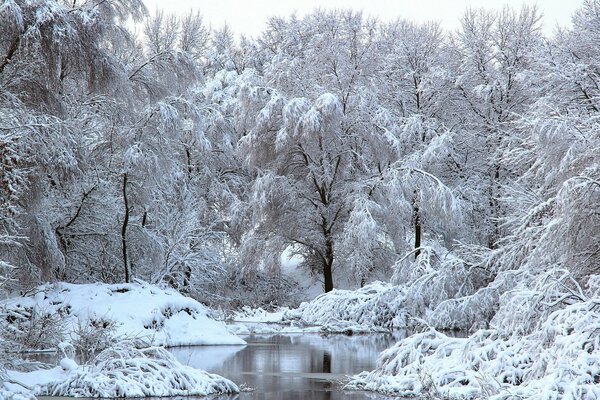 Winter has come to winter road