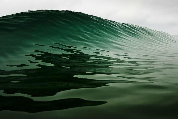 Image of an ocean wave with a reflecting shadow