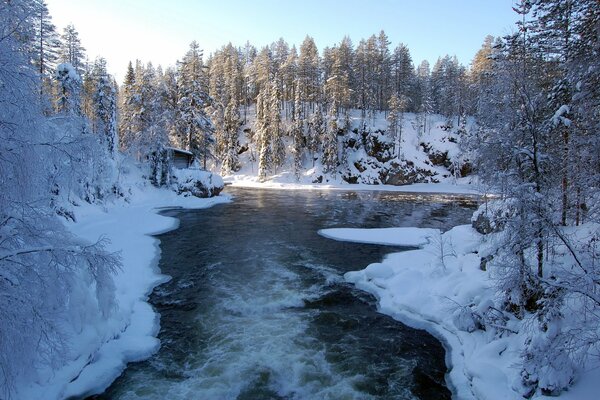 Winter evening by the river in the forest