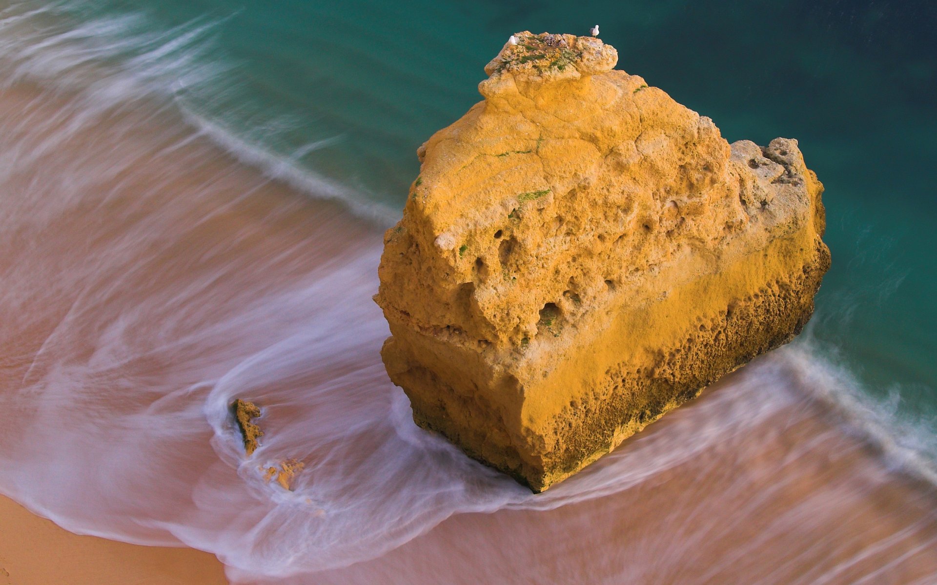 meer wasser ozean küste küste stein steine felsen felsen vögel vogel möwe möwen brandung