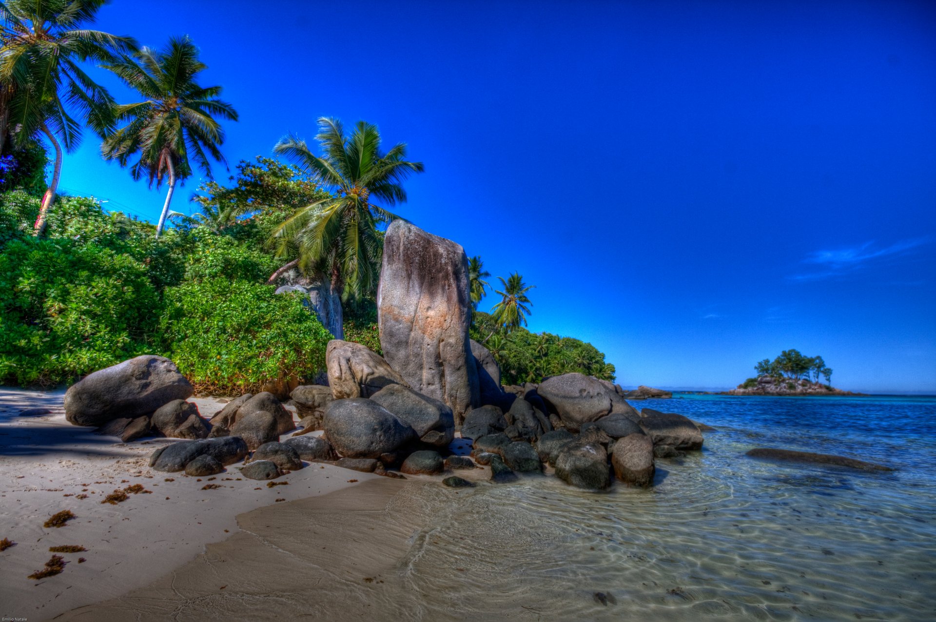 nature landscape sea sky summer beach palm