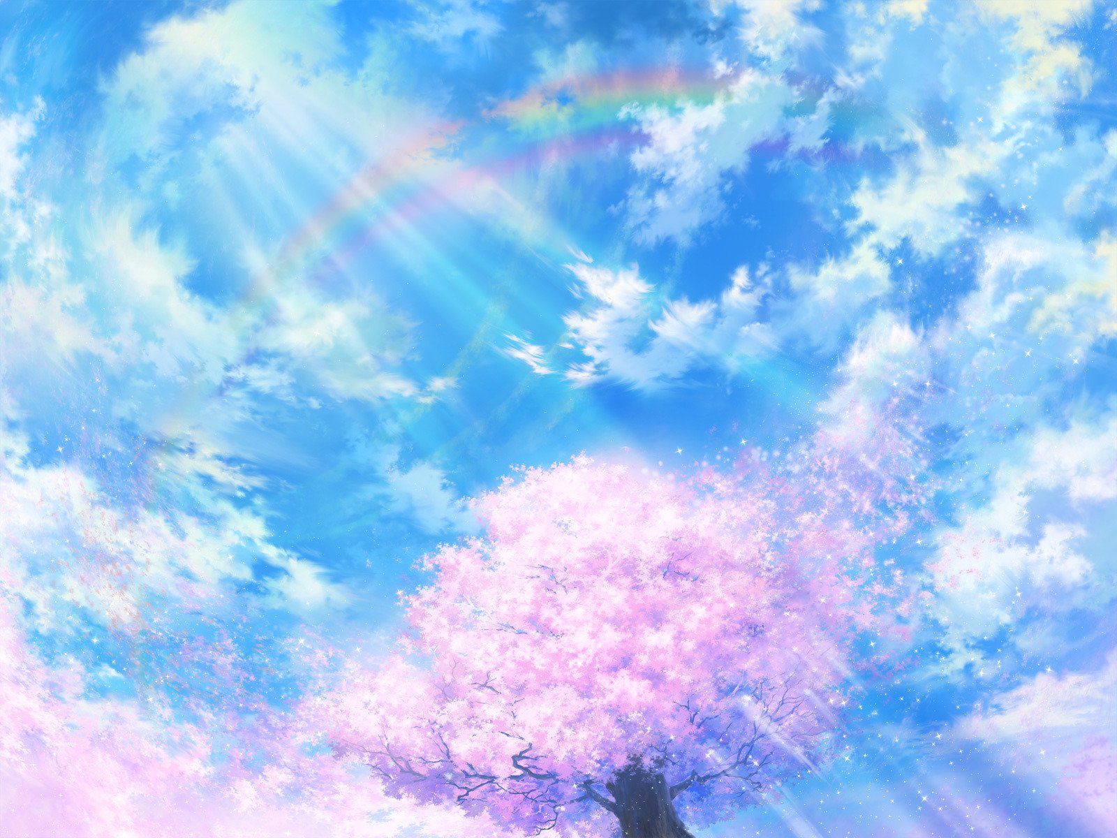 dessin lumière sakura nuages vent