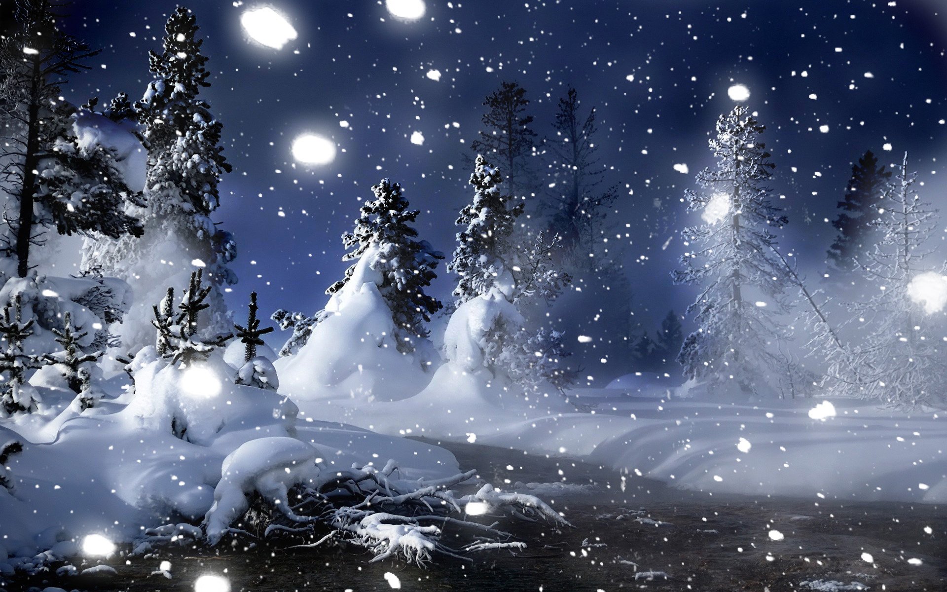 forest night winter snow christmas tree