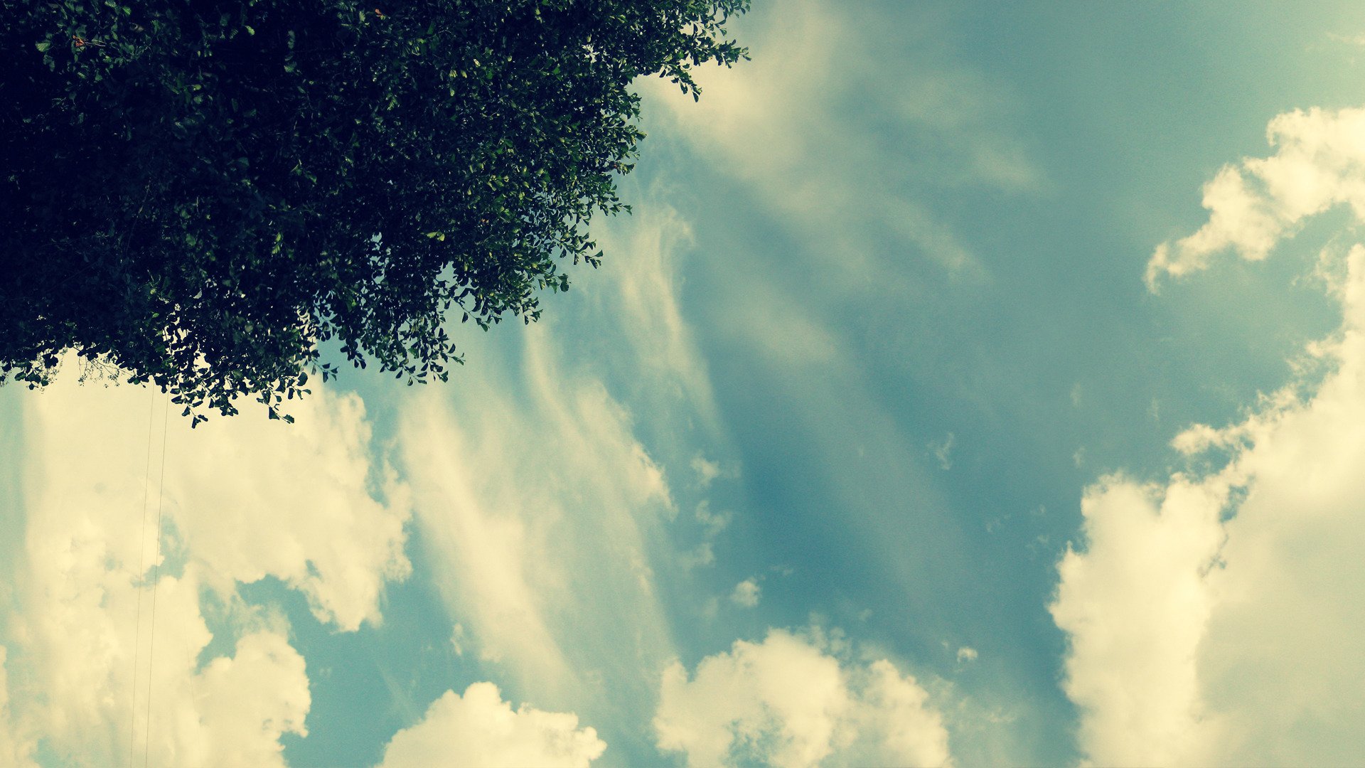 cielo albero luce nuvole