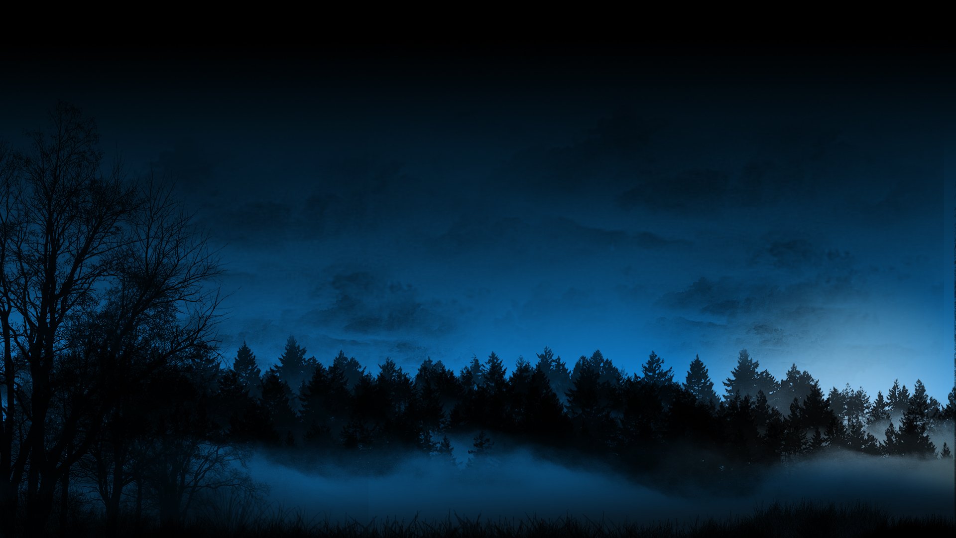 night forest tree sky