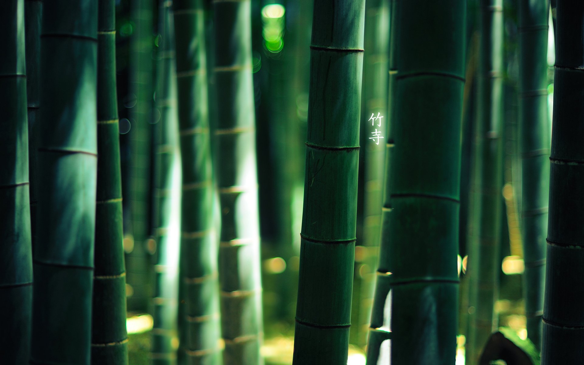 forest bamboo characters green colour by burningmonk 1920x1200