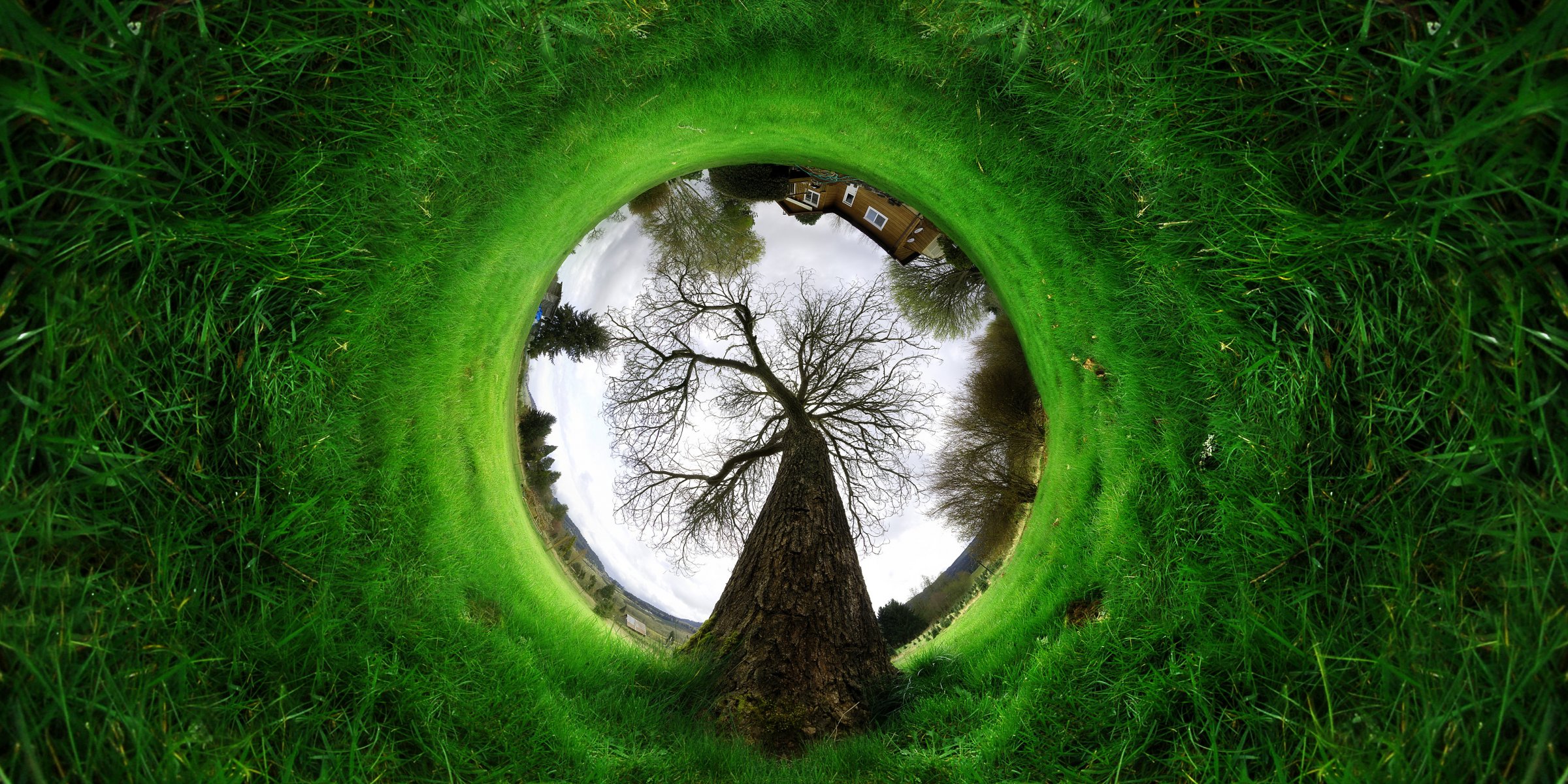 astrazione astrazione paesaggio albero erba casa natura