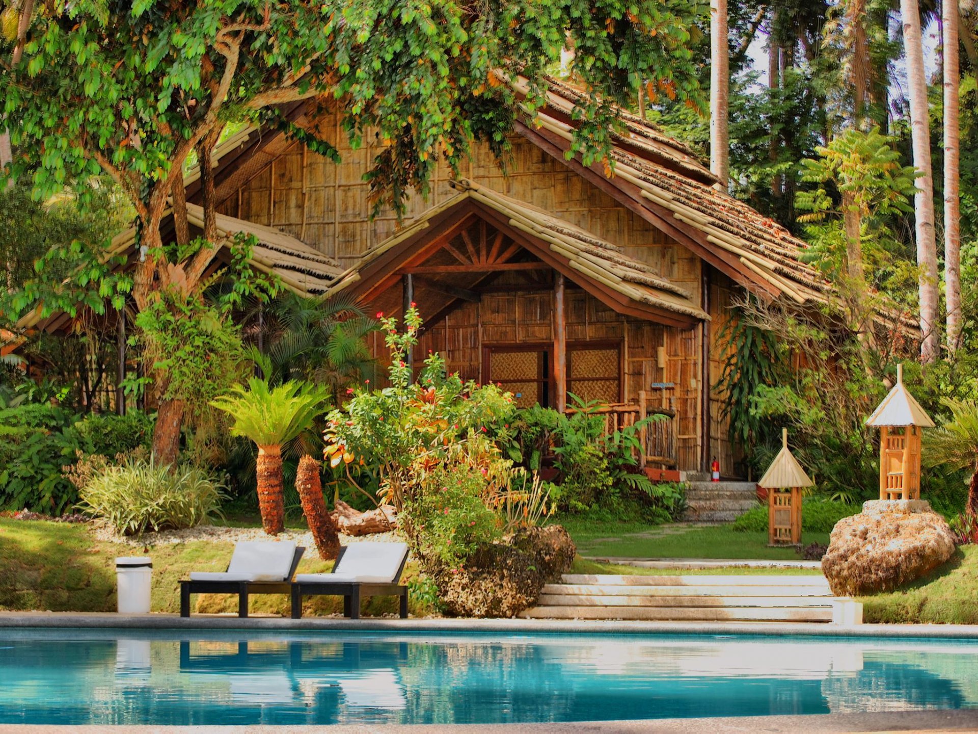 casa árboles agua piscina palmeras