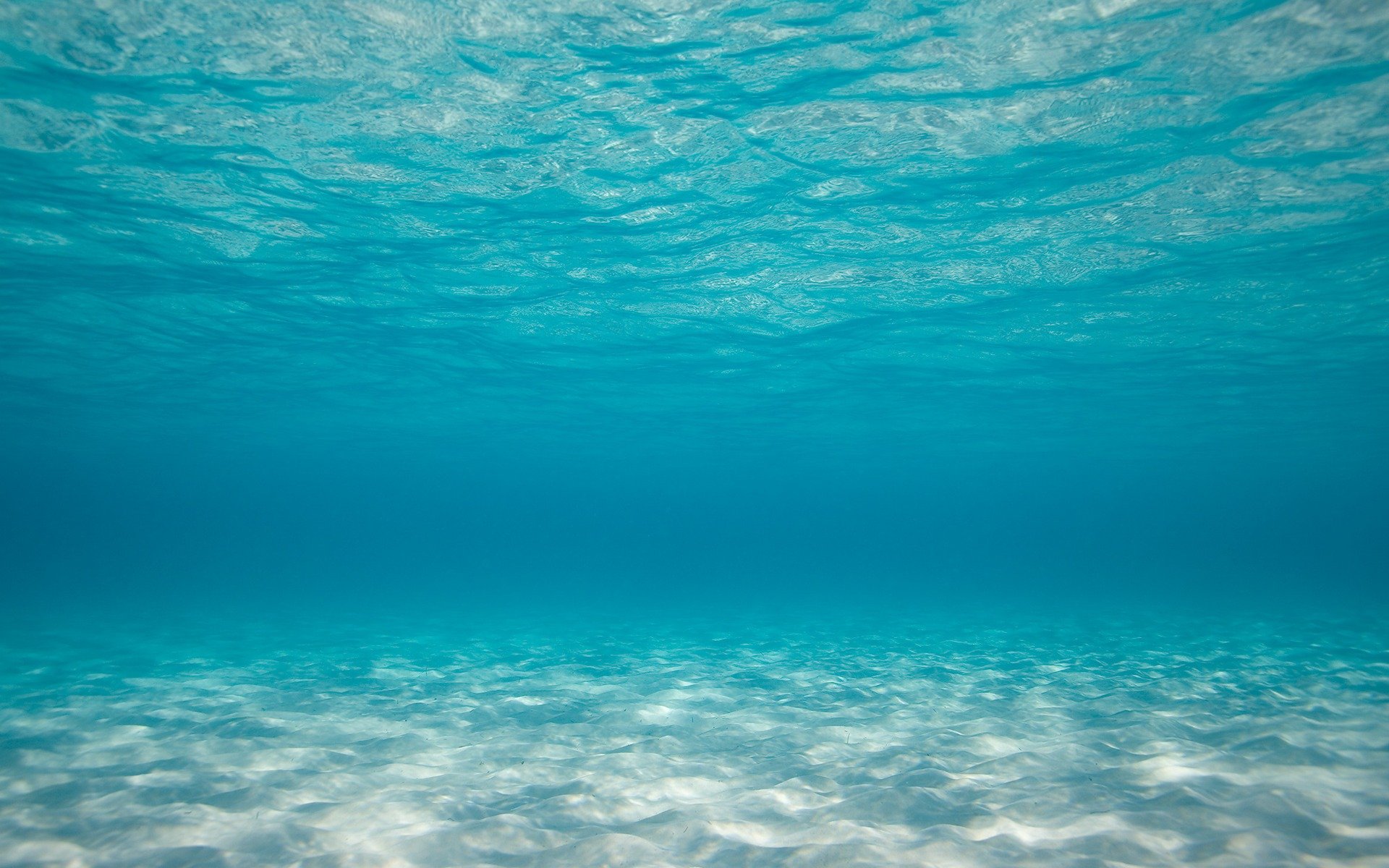 oceano acqua sott acqua azzurro fondo sabbia