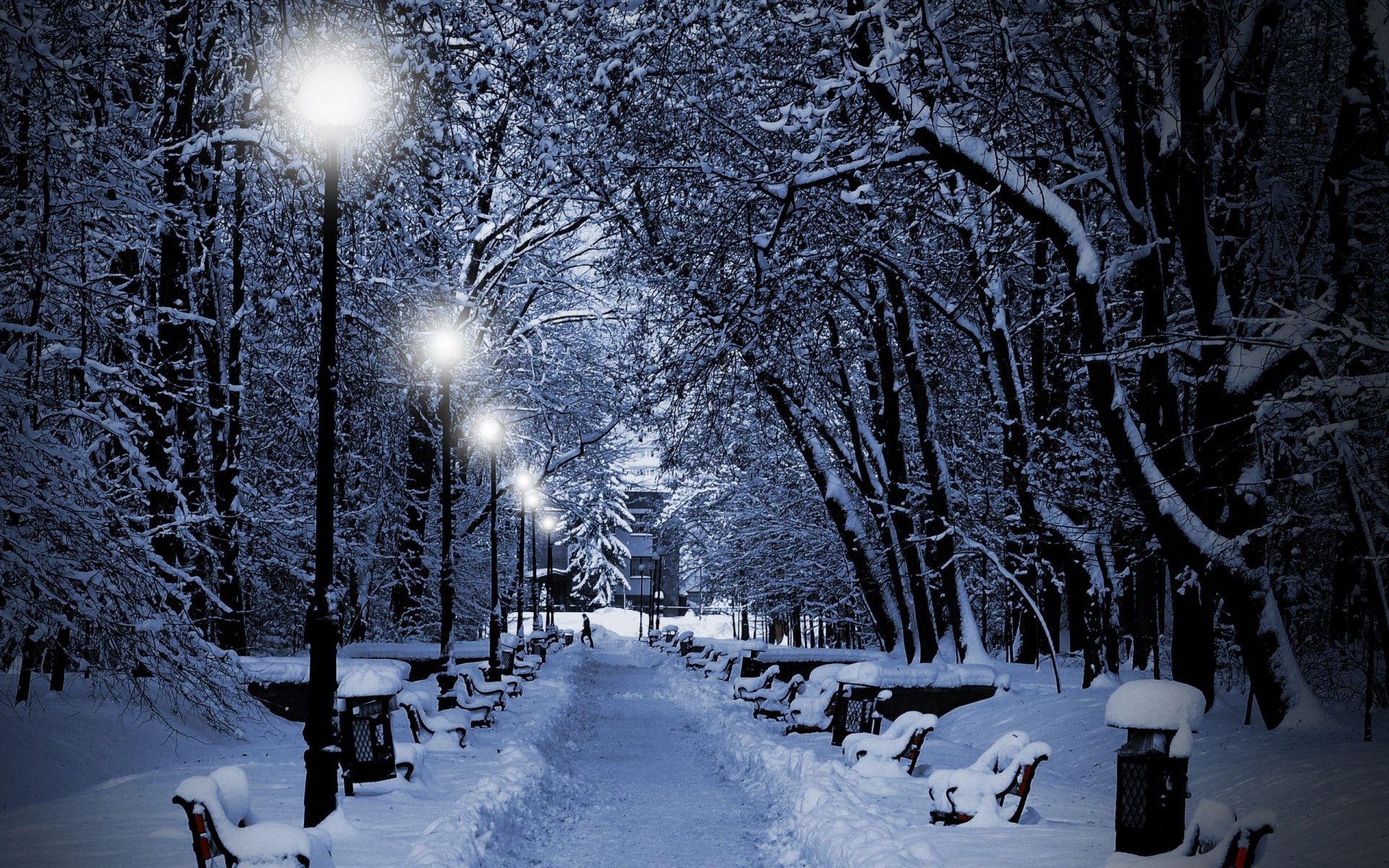 inverno alberi neve parco panchine lanterne luci sera