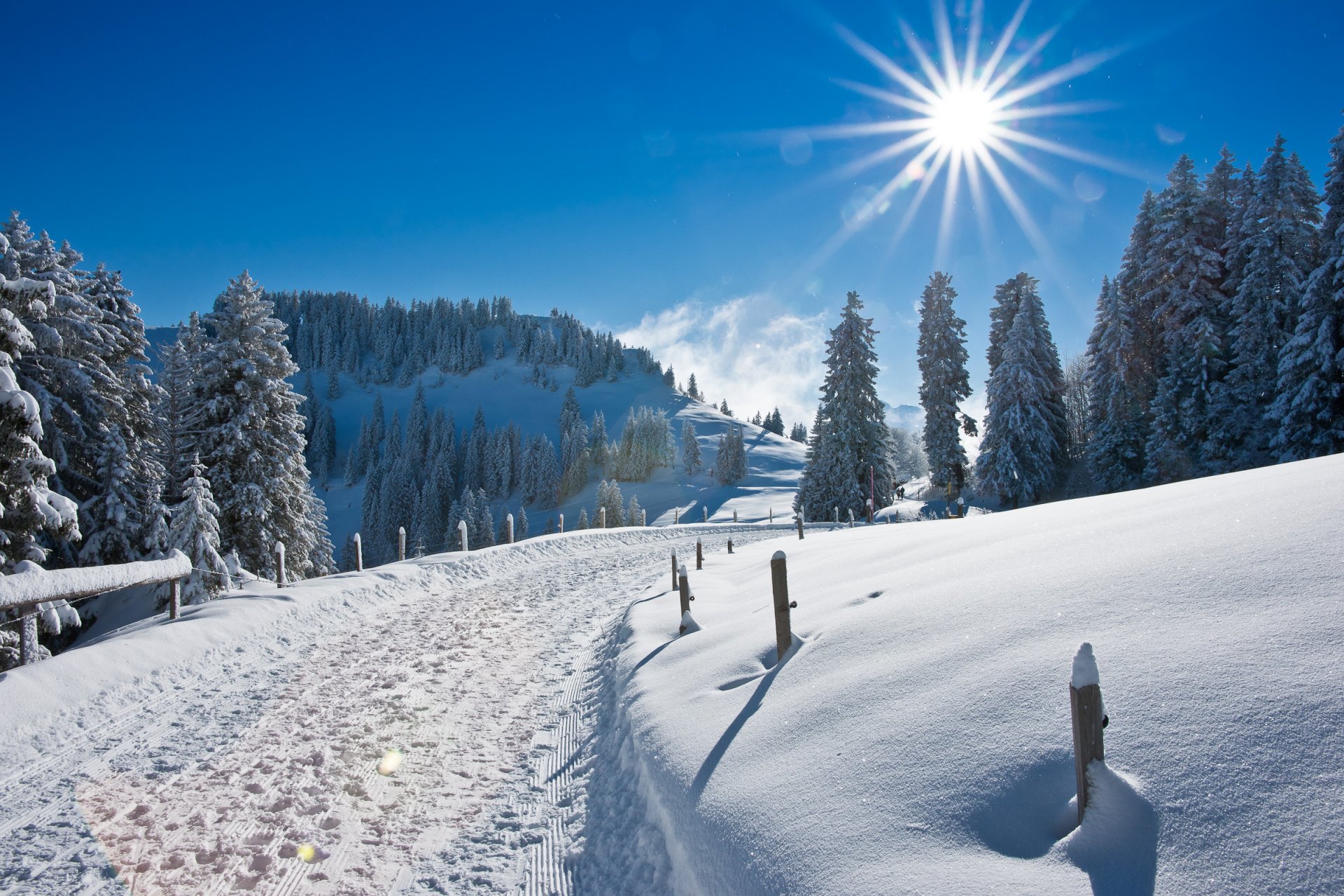 nature winter road snow sun rays reflection