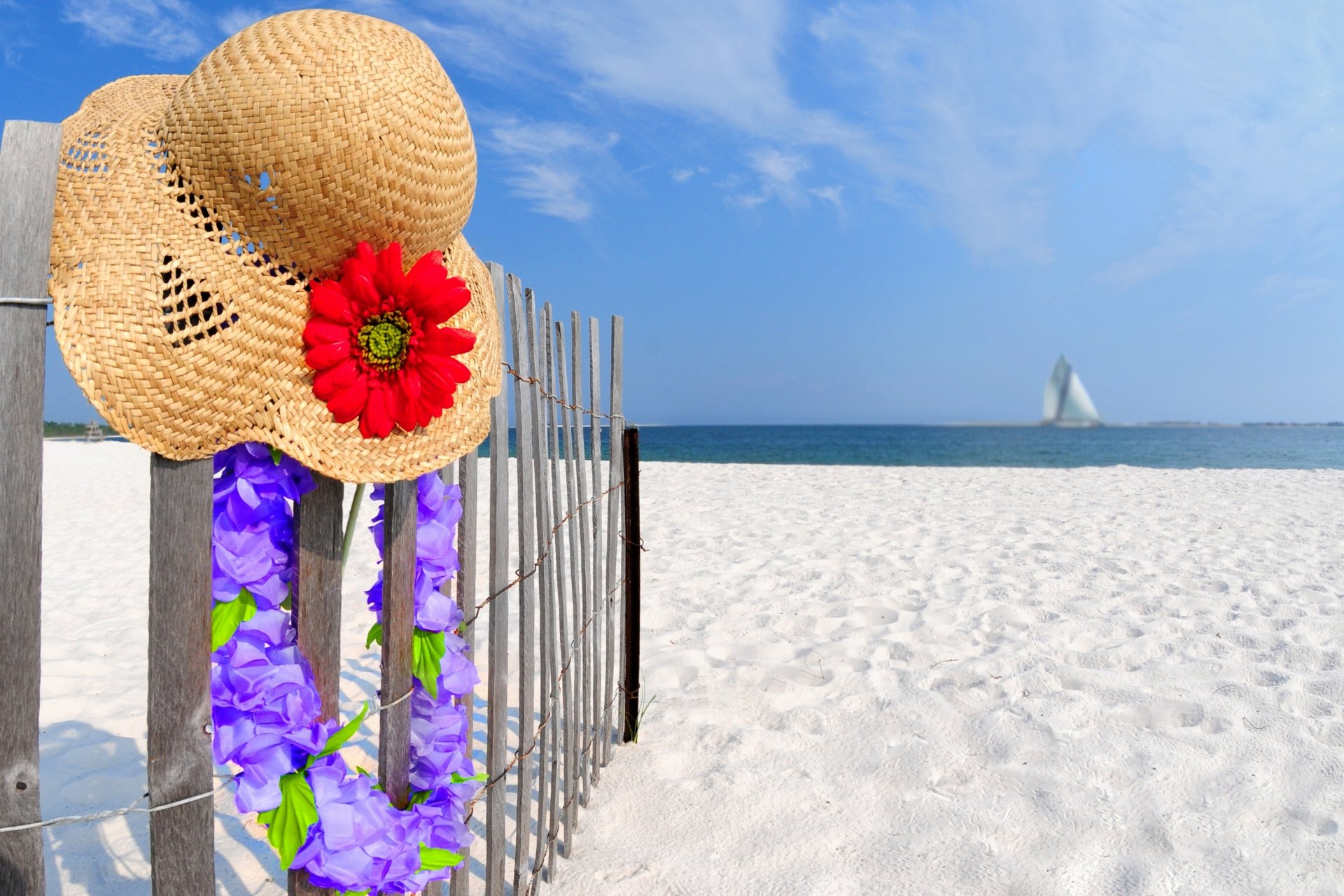 natura paesaggio spiaggia sabbia fiori estate cappello cielo nuvole