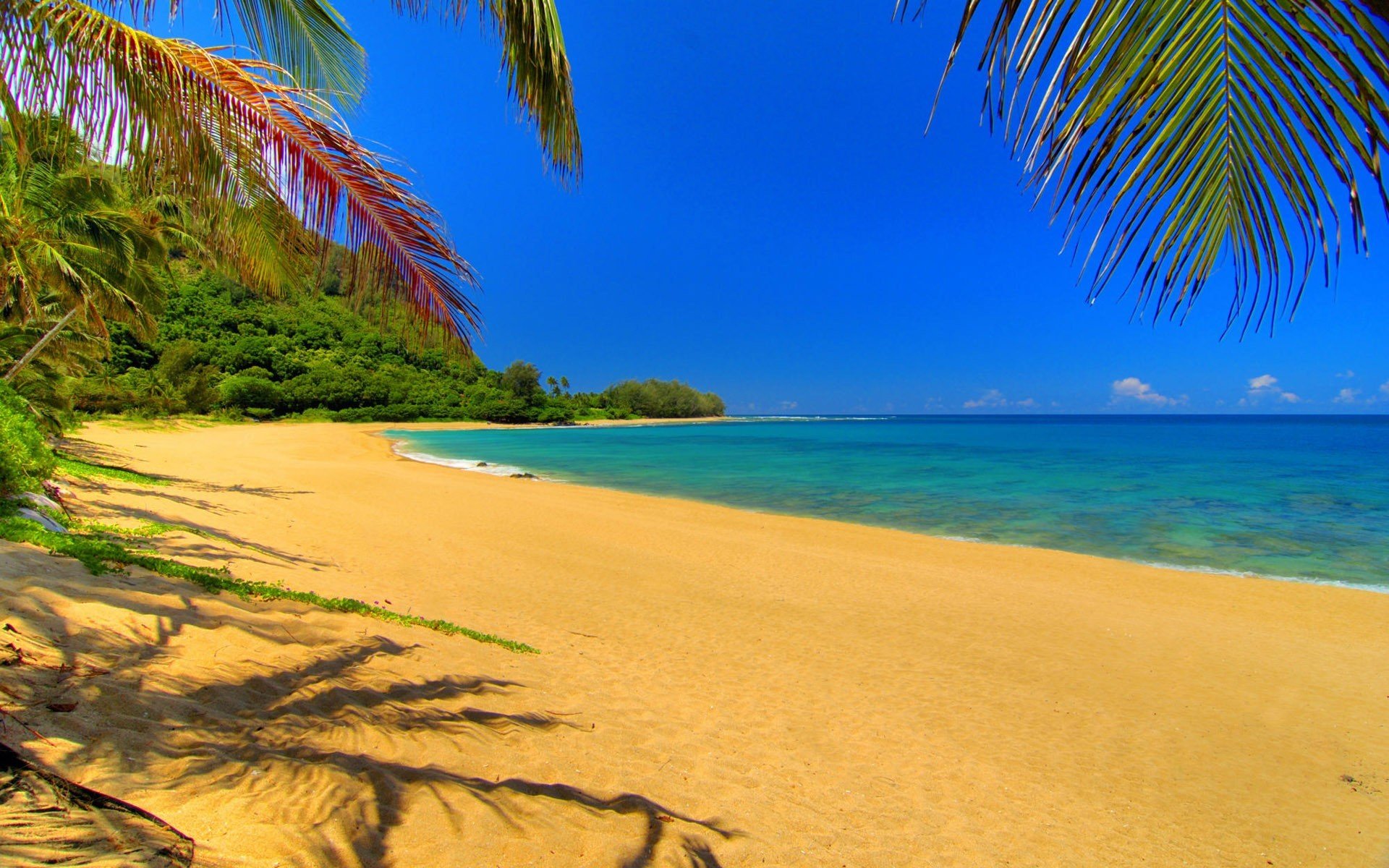 natur sand palmen fluss himmel wolken landschaft freizeit