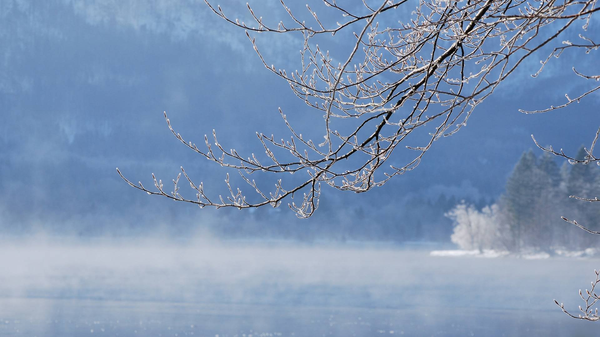 winter schnee fluss wasser winter see zweig