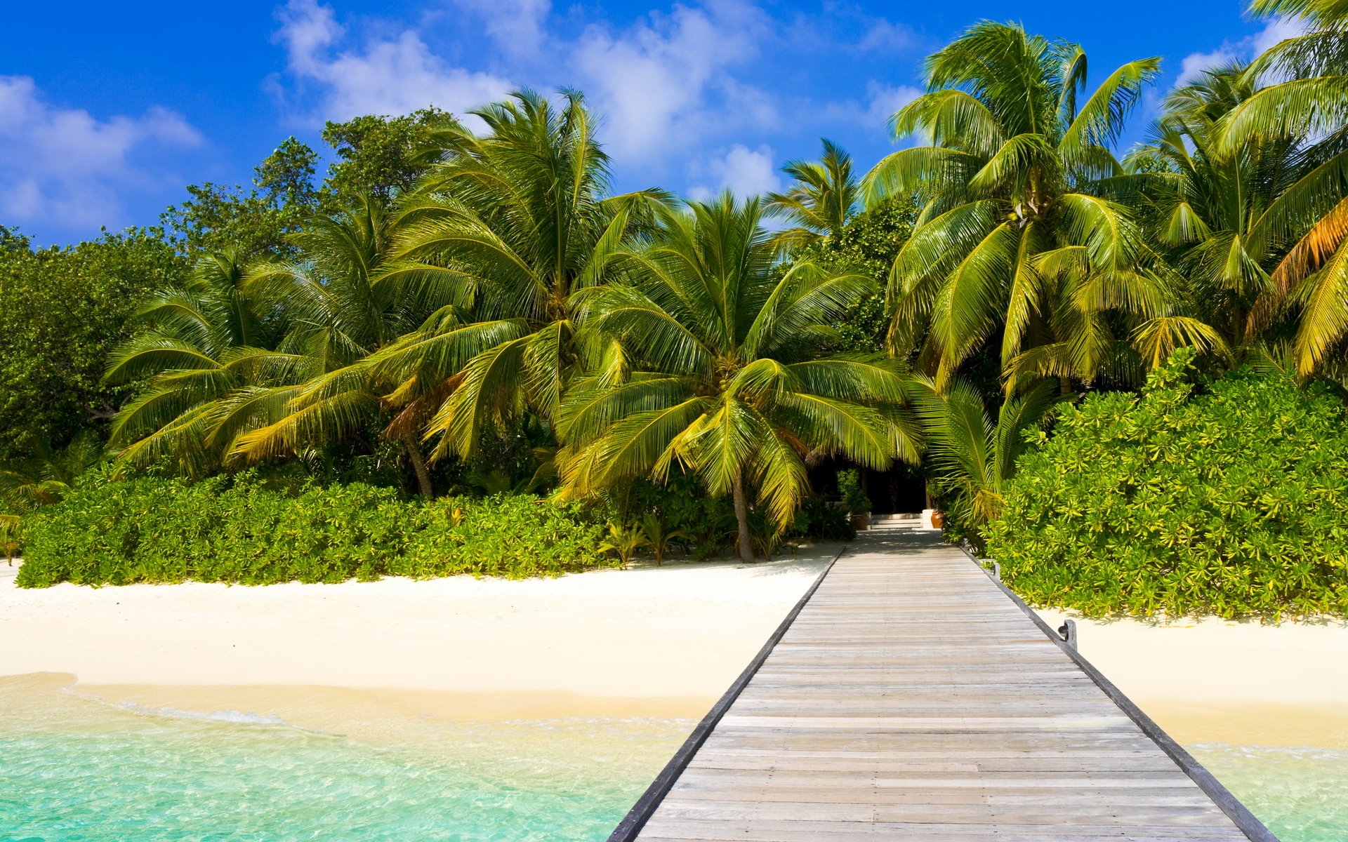 nature landscape shore beach sand palm trees ocean water sky clouds 1920x1200