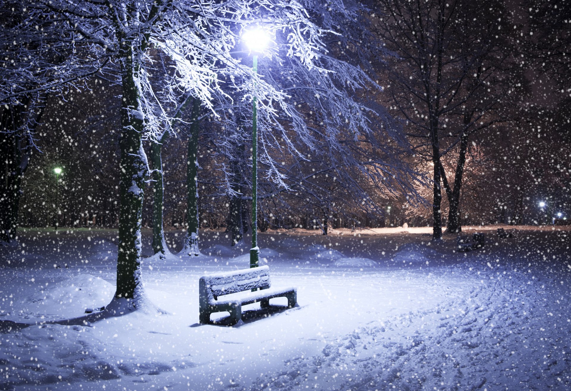 hiver neige nuit banc arbres parc lanterne