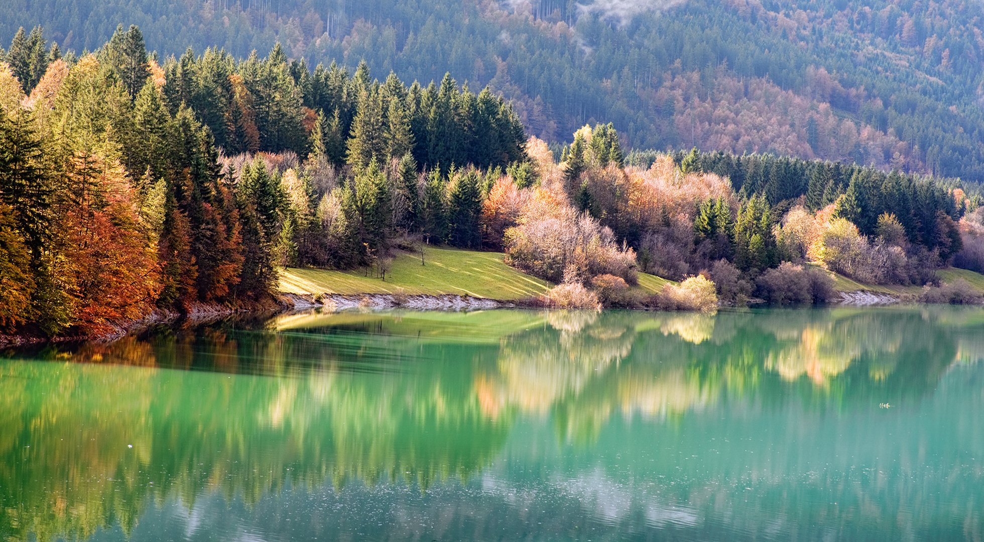 natura autunno fiume riva foresta