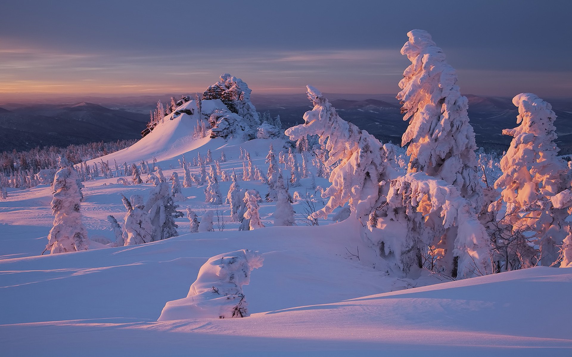 natura inverno neve foresta tramonto