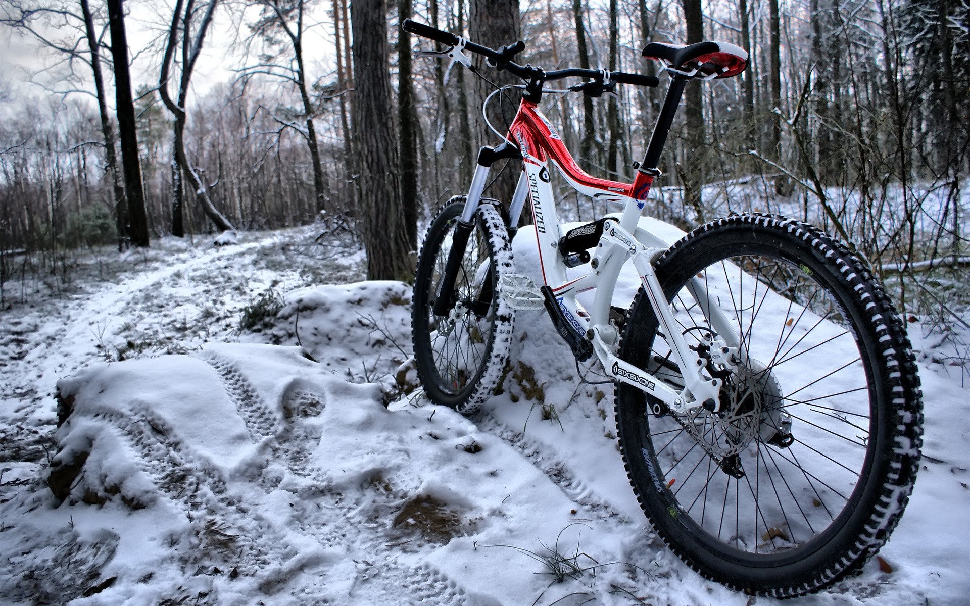 forest winter snow bike flowers frame