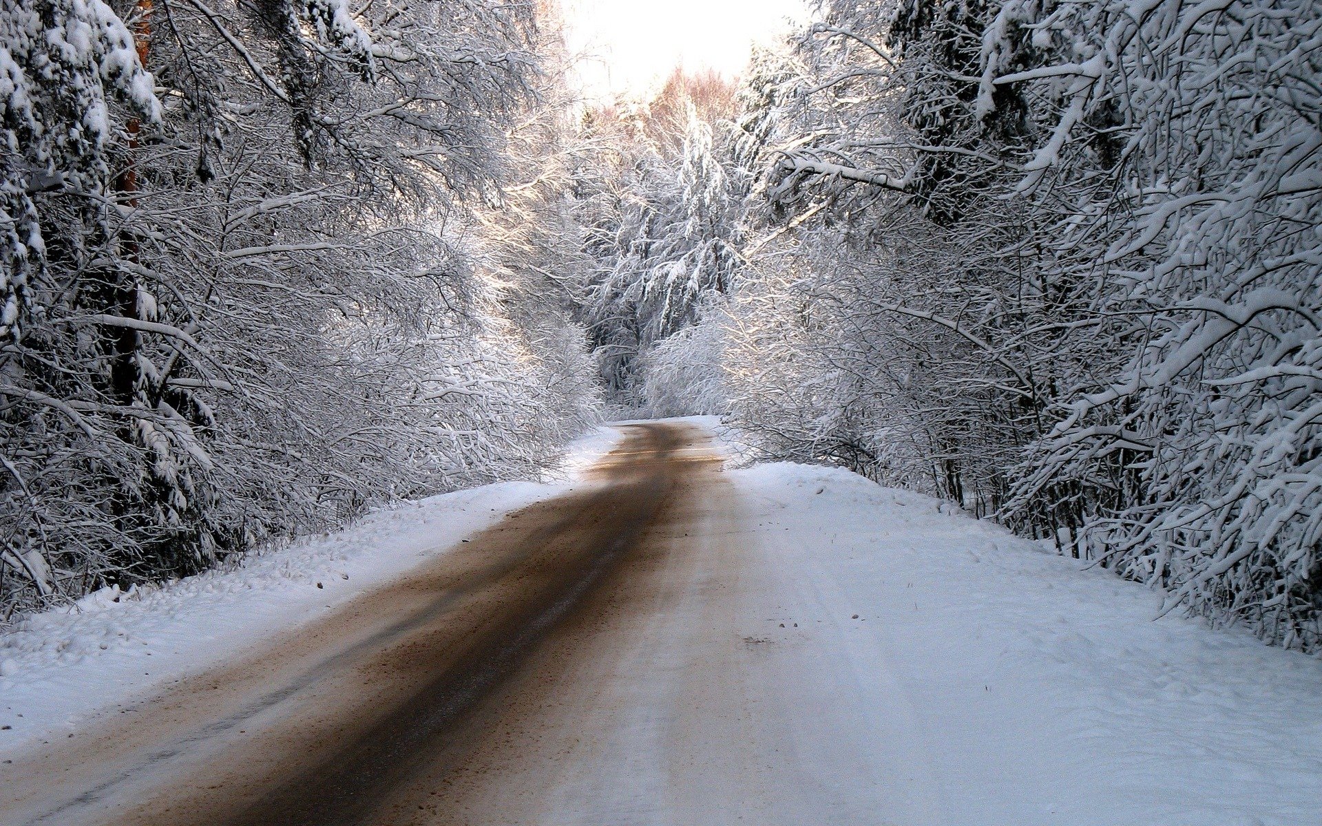 inverno natura neve foto strada strade foresta alberi