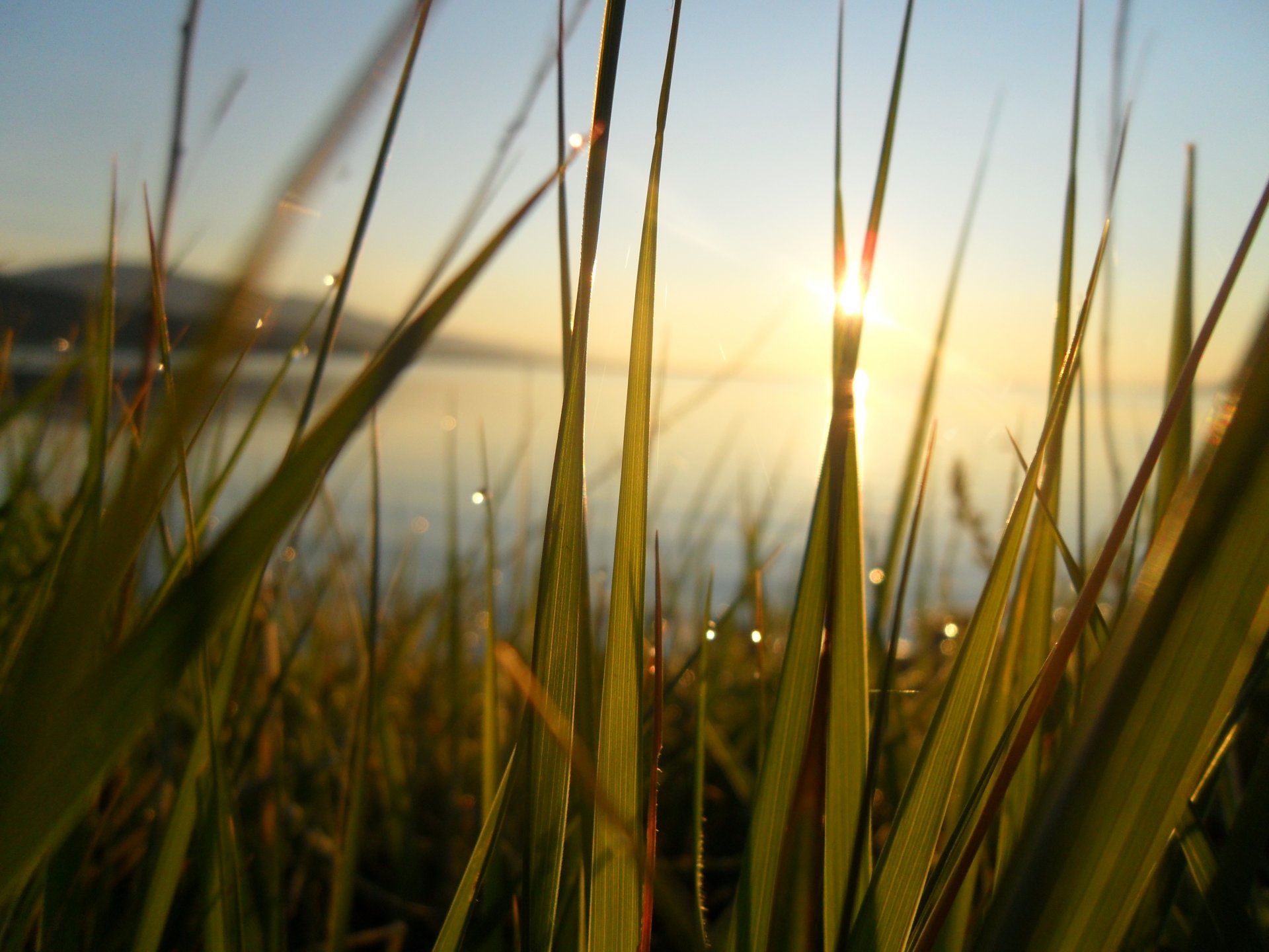 baikal morgendämmerung tau gras glück sonne strahlen see frische grüns warm