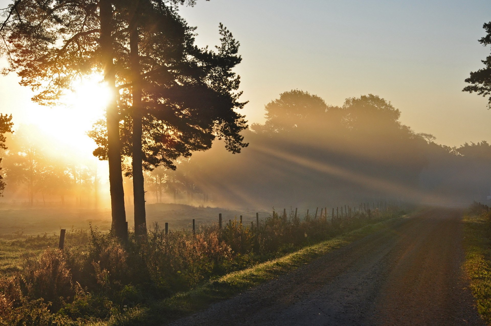 morgen straße licht landschaft