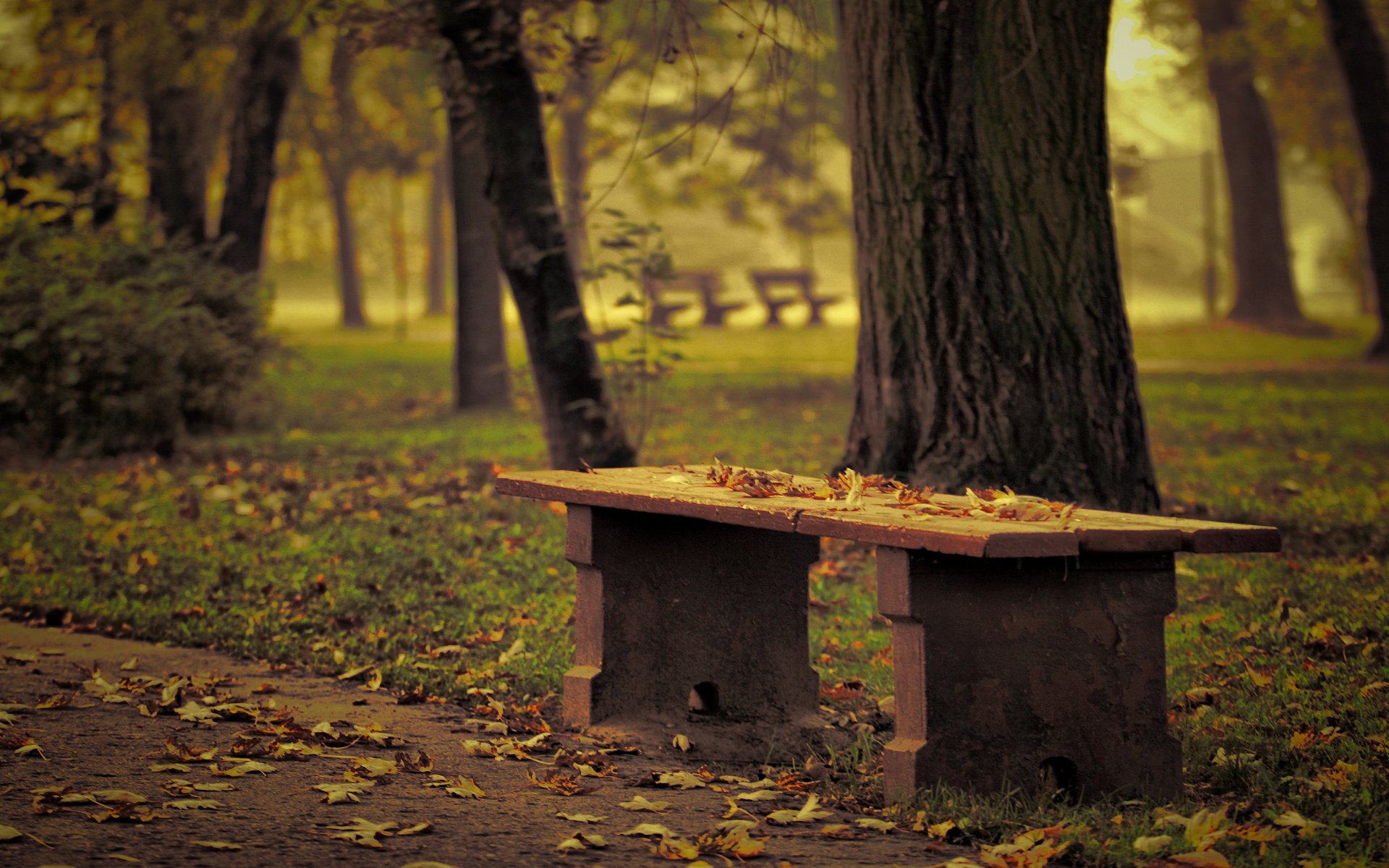 bank park gefallene blätter herbst bäume wirkung fokus unschärfe